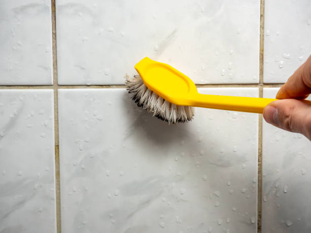 Best Certified Mold Removal  in Red Lick, TX